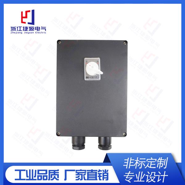 BDZ8050防爆防腐斷路（lù）器